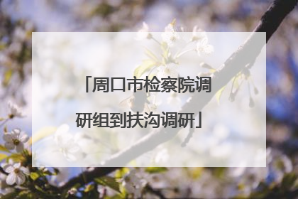 周口市检察院调研组到扶沟调研