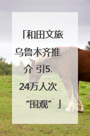 和田文旅乌鲁木齐推介 引5.24万人次“围观”