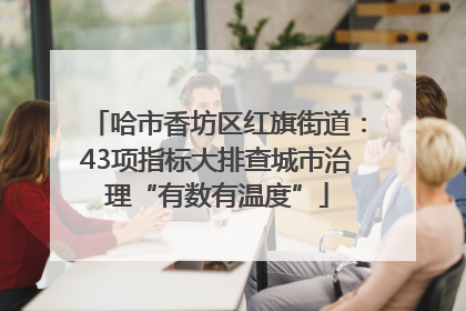 哈市香坊区红旗街道：43项指标大排查城市治理“有数有温度”