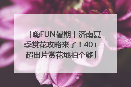 嗨FUN暑期丨济南夏季赏花攻略来了！40+超出片赏花地拍个够