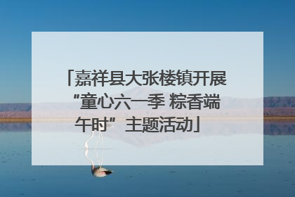 嘉祥县大张楼镇开展“童心六一季 粽香端午时”主题活动