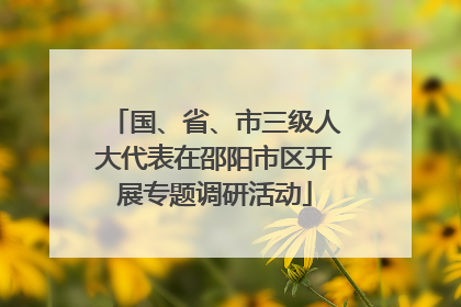 国、省、市三级人大代表在邵阳市区开展专题调研活动