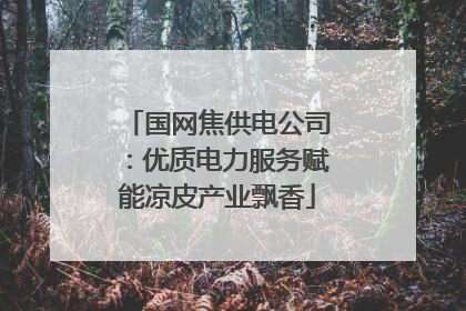 国网焦供电公司：优质电力服务赋能凉皮产业飘香