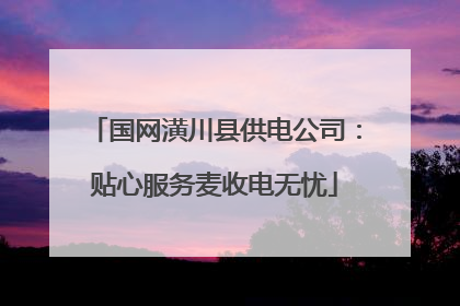 国网潢川县供电公司：贴心服务麦收电无忧