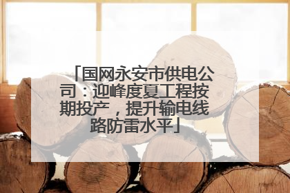 国网永安市供电公司：迎峰度夏工程按期投产，提升输电线路防雷水平
