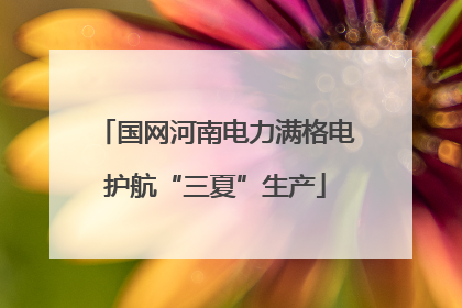 国网河南电力满格电护航“三夏”生产