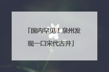 国内罕见！泉州发现一口宋代古井