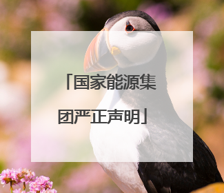 国家能源集团严正声明