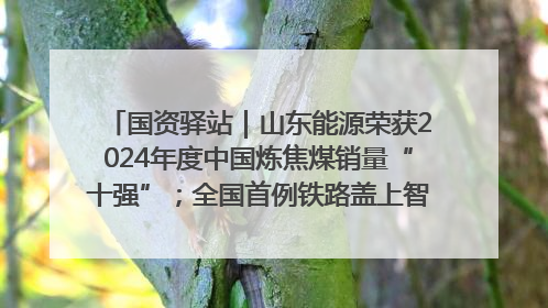 国资驿站｜山东能源荣获2024年度中国炼焦煤销量“十强”；全国首例铁路盖上智慧物流园钢结构主体完工