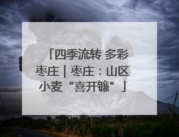 四季流转 多彩枣庄｜枣庄：山区小麦“喜开镰”