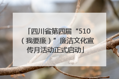四川省第四届“510（我要廉）”廉洁文化宣传月活动正式启动