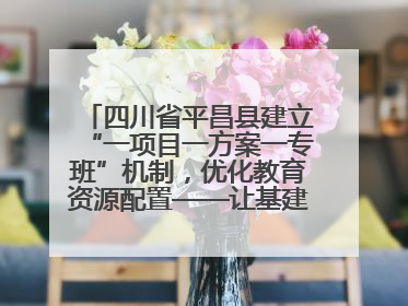 四川省平昌县建立“一项目一方案一专班”机制，优化教育资源配置——让基建“加速”，为成长“铺路”
