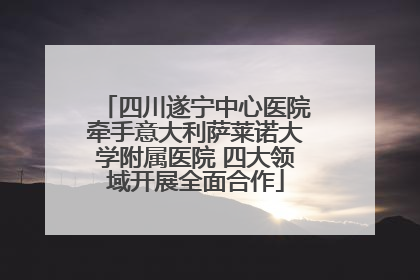 四川遂宁中心医院牵手意大利萨莱诺大学附属医院 四大领域开展全面合作