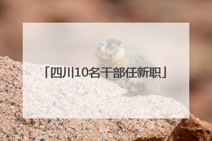 四川10名干部任新职
