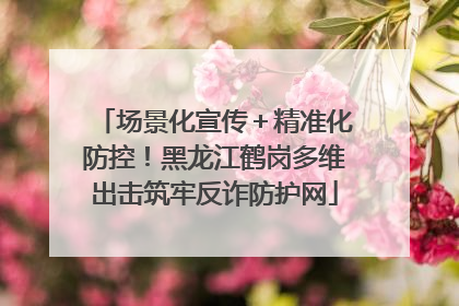场景化宣传＋精准化防控！黑龙江鹤岗多维出击筑牢反诈防护网