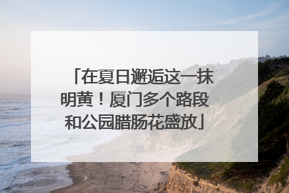 在夏日邂逅这一抹明黄！厦门多个路段和公园腊肠花盛放
