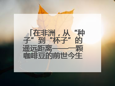 在非洲，从“种子”到“杯子”的遥远距离——一颗咖啡豆的前世今生（三）