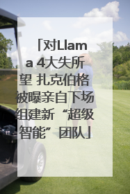 对Llama 4大失所望 扎克伯格被曝亲自下场组建新“超级智能”团队