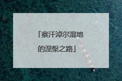 察汗淖尔湿地的涅槃之路