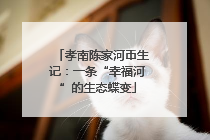 孝南陈家河重生记：一条“幸福河”的生态蝶变