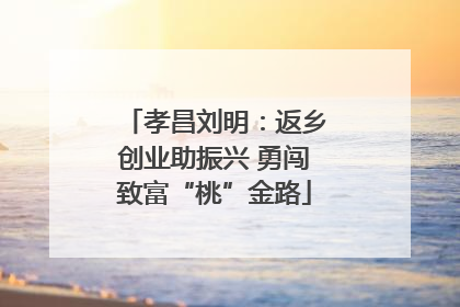孝昌刘明：返乡创业助振兴 勇闯致富“桃”金路