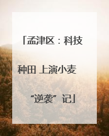 孟津区：科技种田 上演小麦“逆袭”记