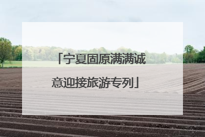 宁夏固原满满诚意迎接旅游专列