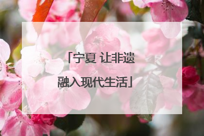 宁夏 让非遗融入现代生活