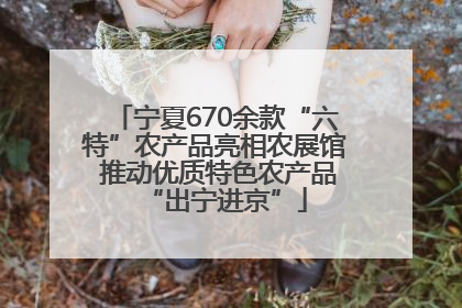 宁夏670余款“六特”农产品亮相农展馆 推动优质特色农产品“出宁进京”