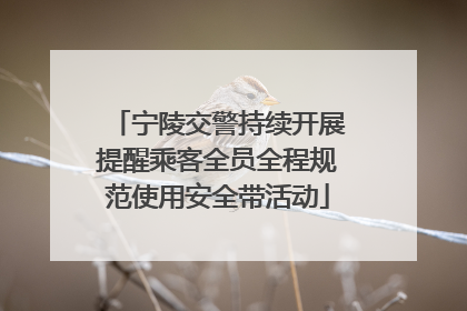 宁陵交警持续开展提醒乘客全员全程规范使用安全带活动