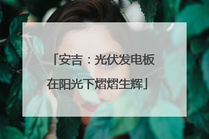 安吉：光伏发电板在阳光下熠熠生辉