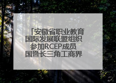 安徽省职业教育国际发展联盟组织参加RCEP成员国暨长三角工商界青年对话会
