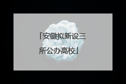 安徽拟新设三所公办高校