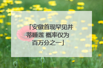 安徽首现罕见并蒂睡莲 概率仅为百万分之一