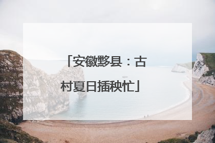 安徽黟县：古村夏日插秧忙