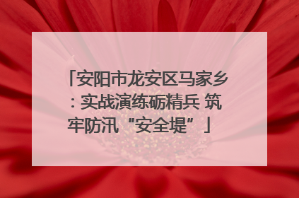 安阳市龙安区马家乡：实战演练砺精兵 筑牢防汛“安全堤”