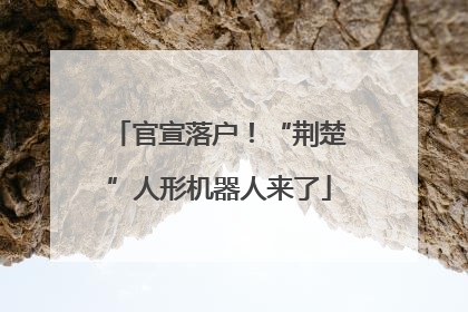 官宣落户！“荆楚”人形机器人来了