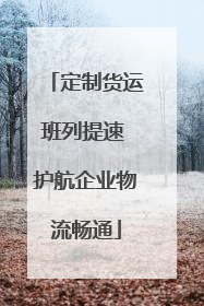定制货运班列提速 护航企业物流畅通