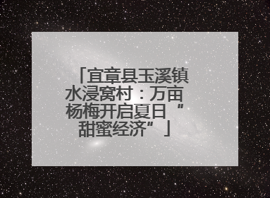 宜章县玉溪镇水浸窝村：万亩杨梅开启夏日“甜蜜经济”