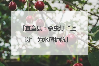 宜章县：杀虫灯“上岗” 为水稻护航