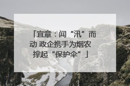 宜章：闻“汛”而动 政企携手为烟农撑起“保护伞”
