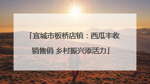 宜城市板桥店镇：西瓜丰收销售俏 乡村振兴添活力