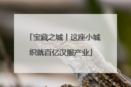 宝藏之城丨这座小城织就百亿汉服产业