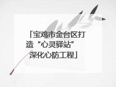宝鸡市金台区打造“心灵驿站” 深化心防工程