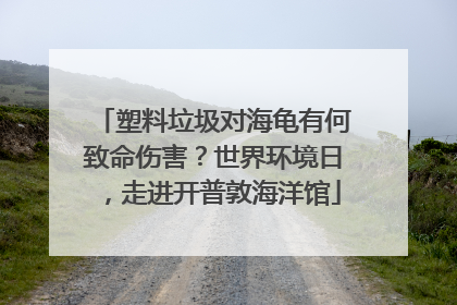 塑料垃圾对海龟有何致命伤害？世界环境日，走进开普敦海洋馆