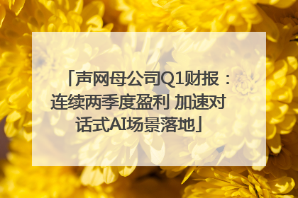 声网母公司Q1财报：连续两季度盈利 加速对话式AI场景落地