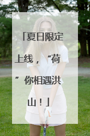 夏日限定上线，“荷”你相遇洪山！