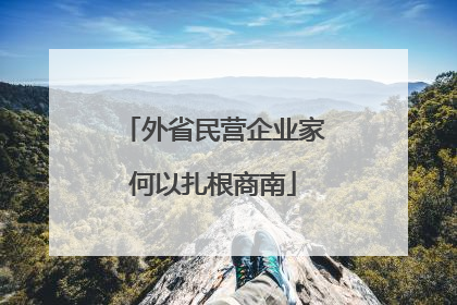 外省民营企业家何以扎根商南