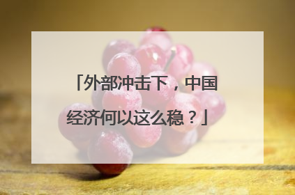 外部冲击下，中国经济何以这么稳？