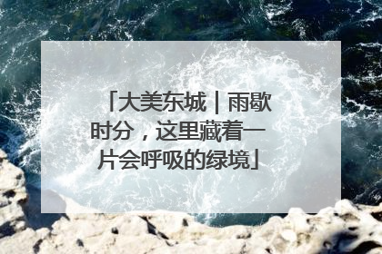 大美东城｜雨歇时分，这里藏着一片会呼吸的绿境